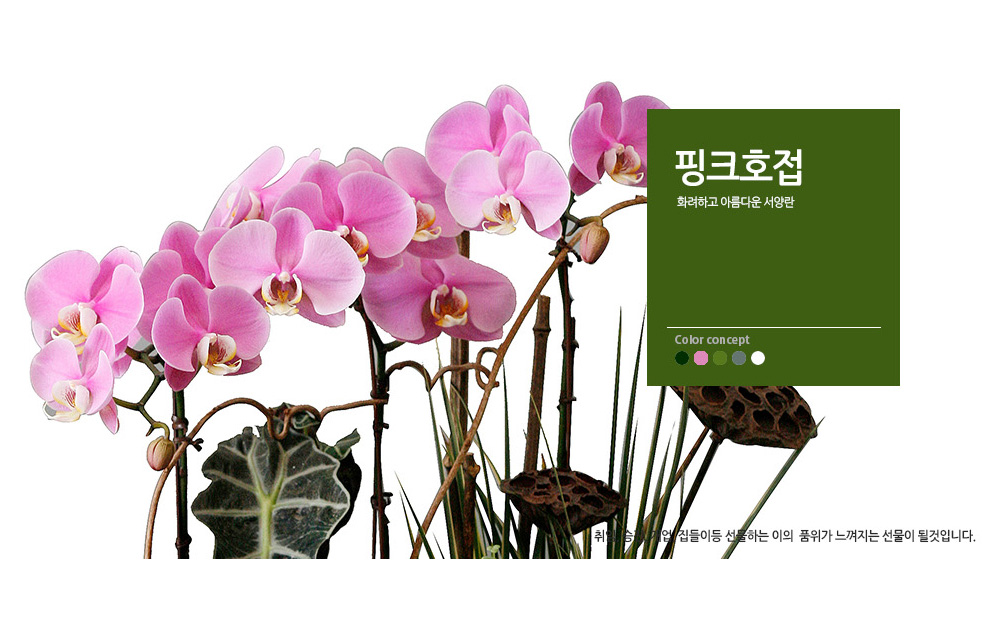 설명이미지