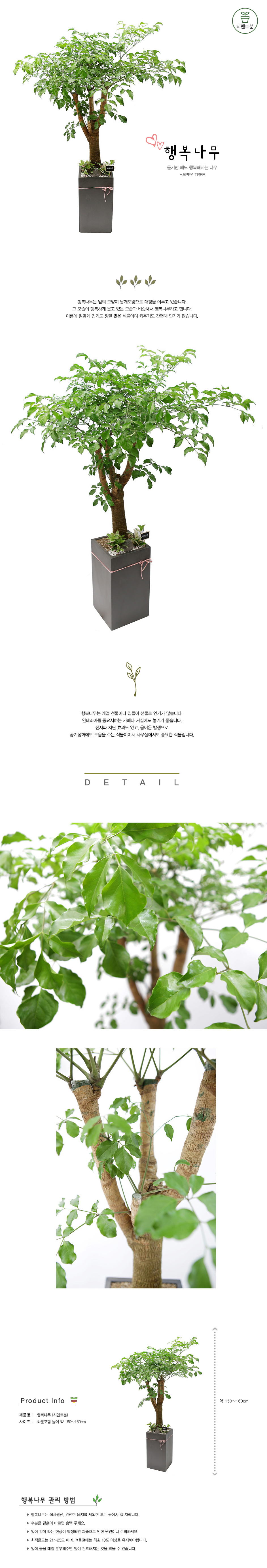 설명이미지