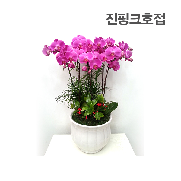 주상품이미지