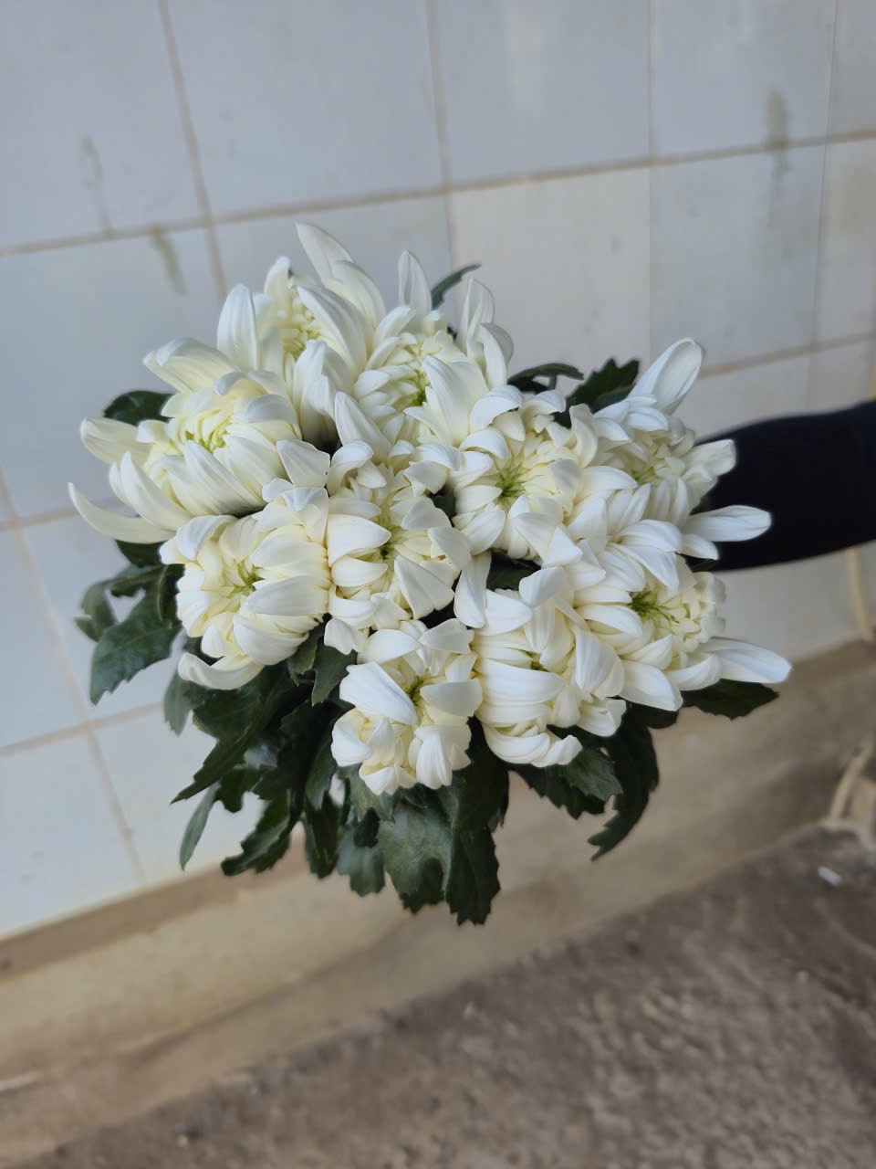 추천제품01