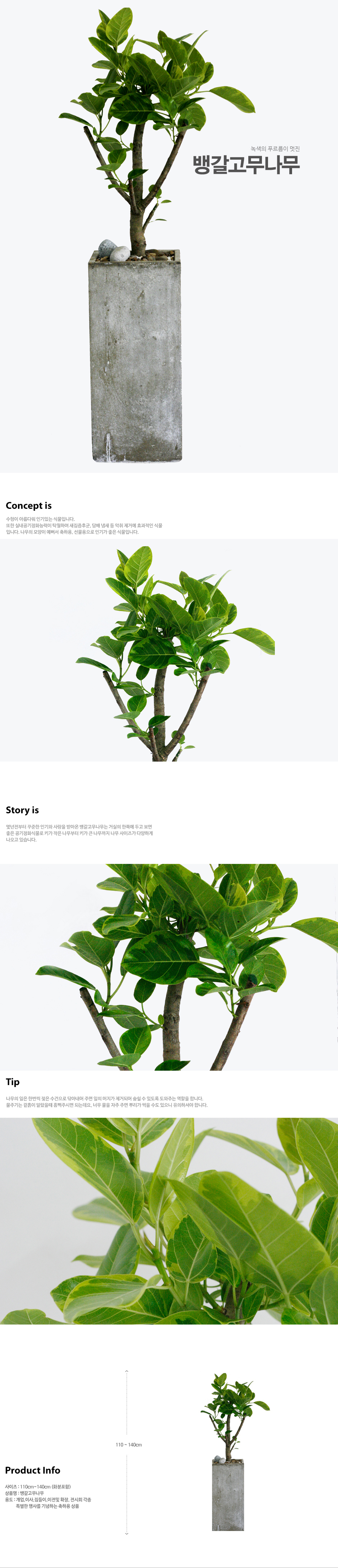 설명이미지