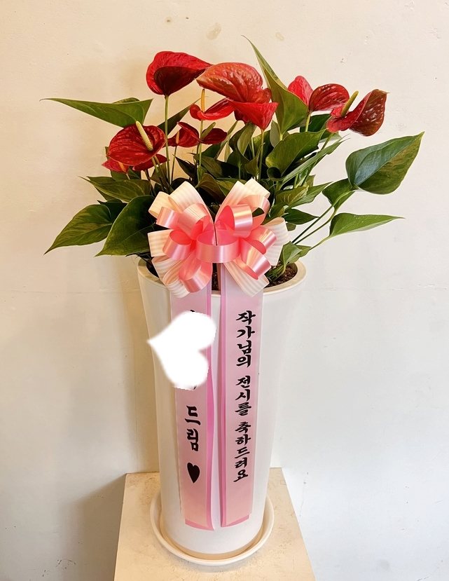 제품이미지