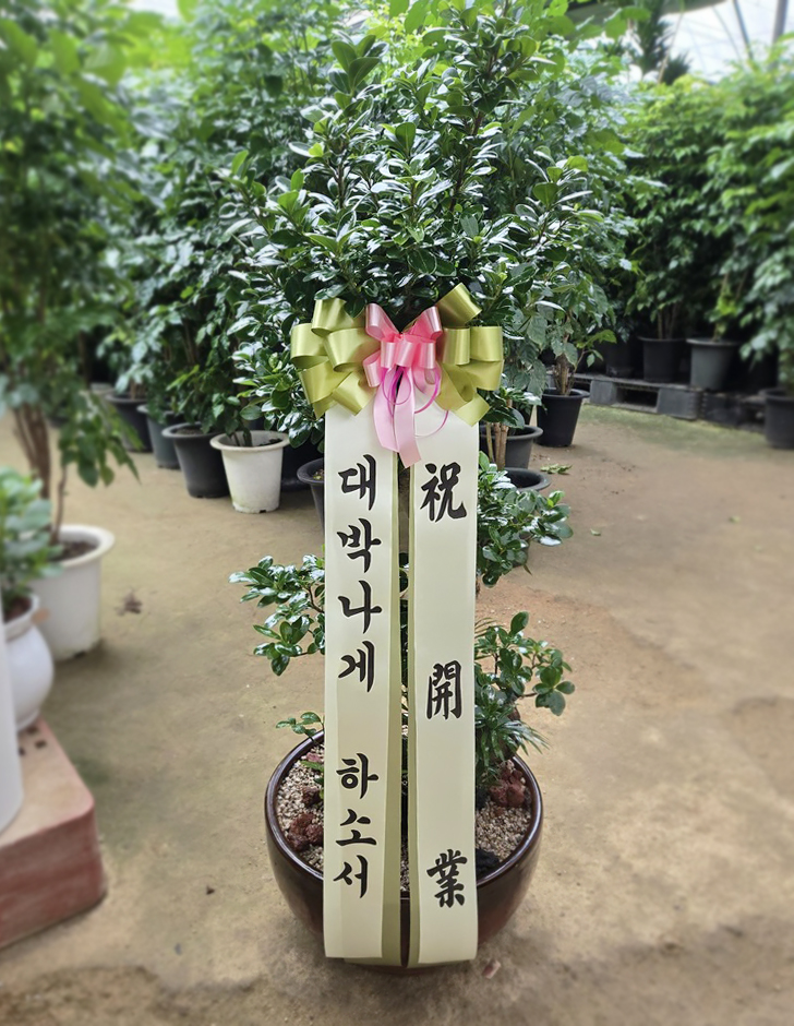 제품이미지