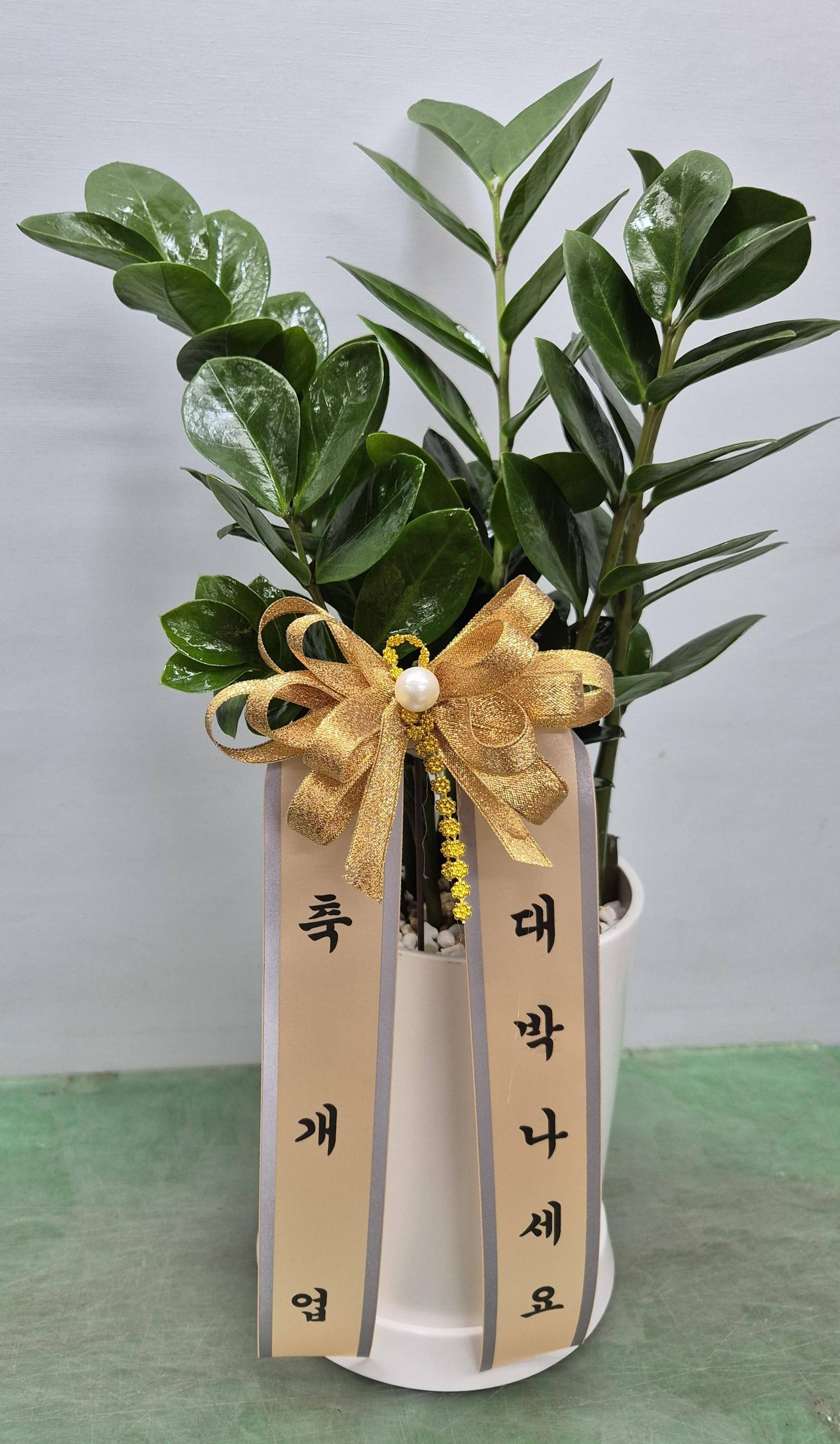 제품이미지