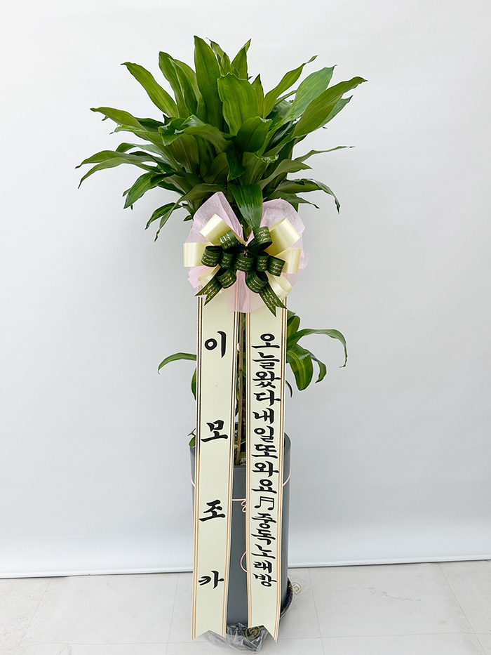 제품이미지