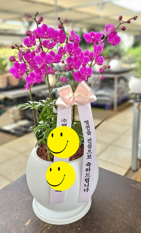 제품이미지